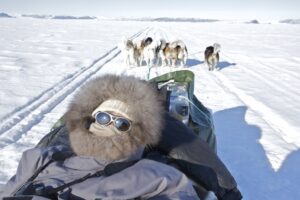 グリーンランド取材。初めての犬ぞり